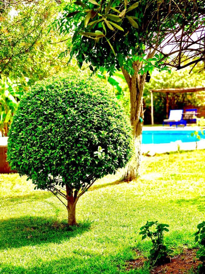 Bed and Breakfast Le Domaine De Carole Marrakech Douar Akkara Экстерьер фото