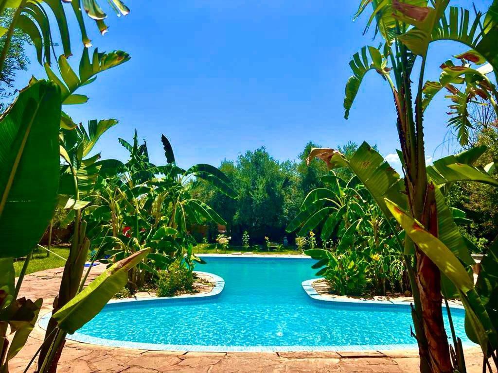 Bed and Breakfast Le Domaine De Carole Marrakech Douar Akkara Экстерьер фото