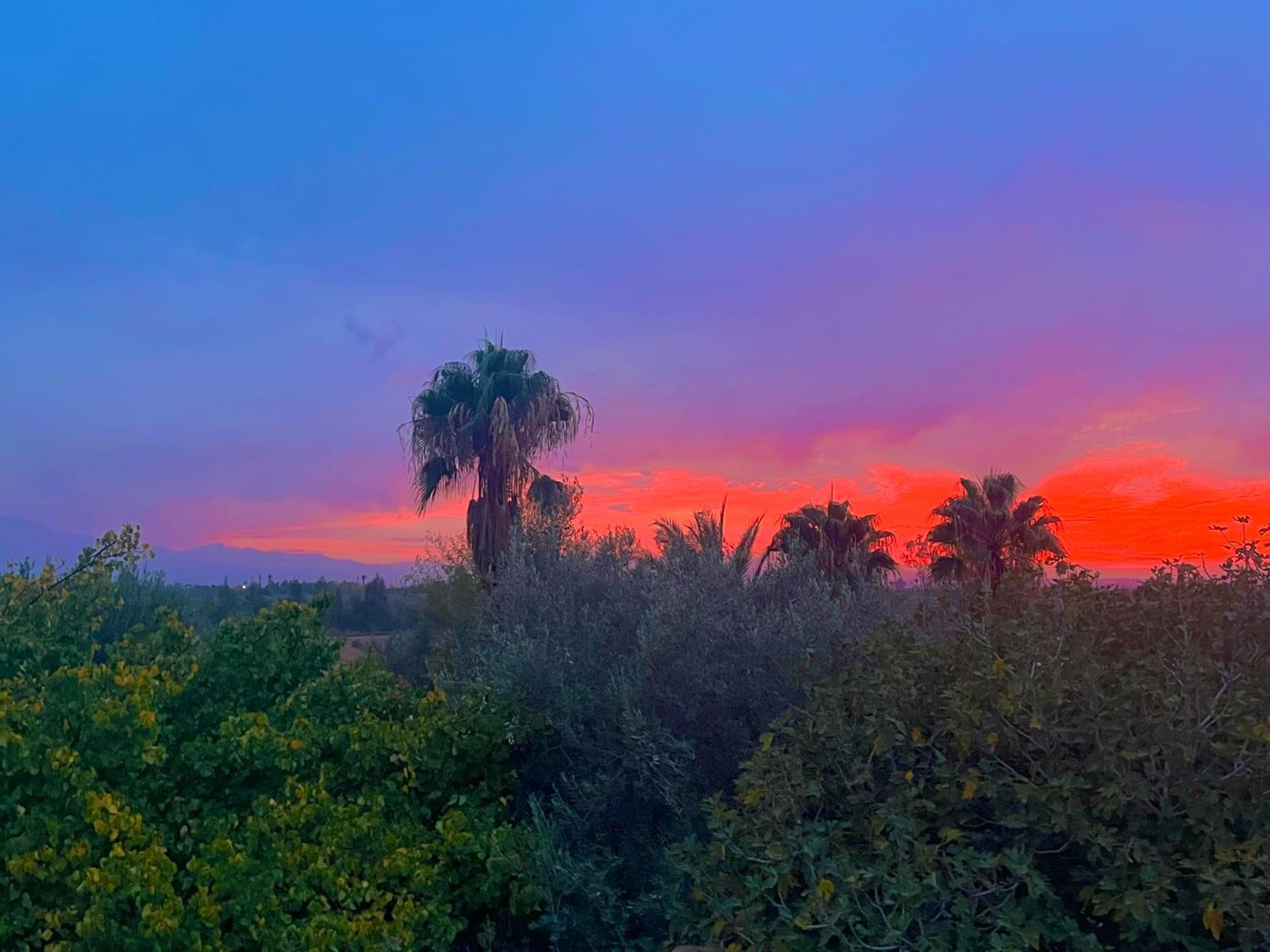 Bed and Breakfast Le Domaine De Carole Marrakech Douar Akkara Экстерьер фото