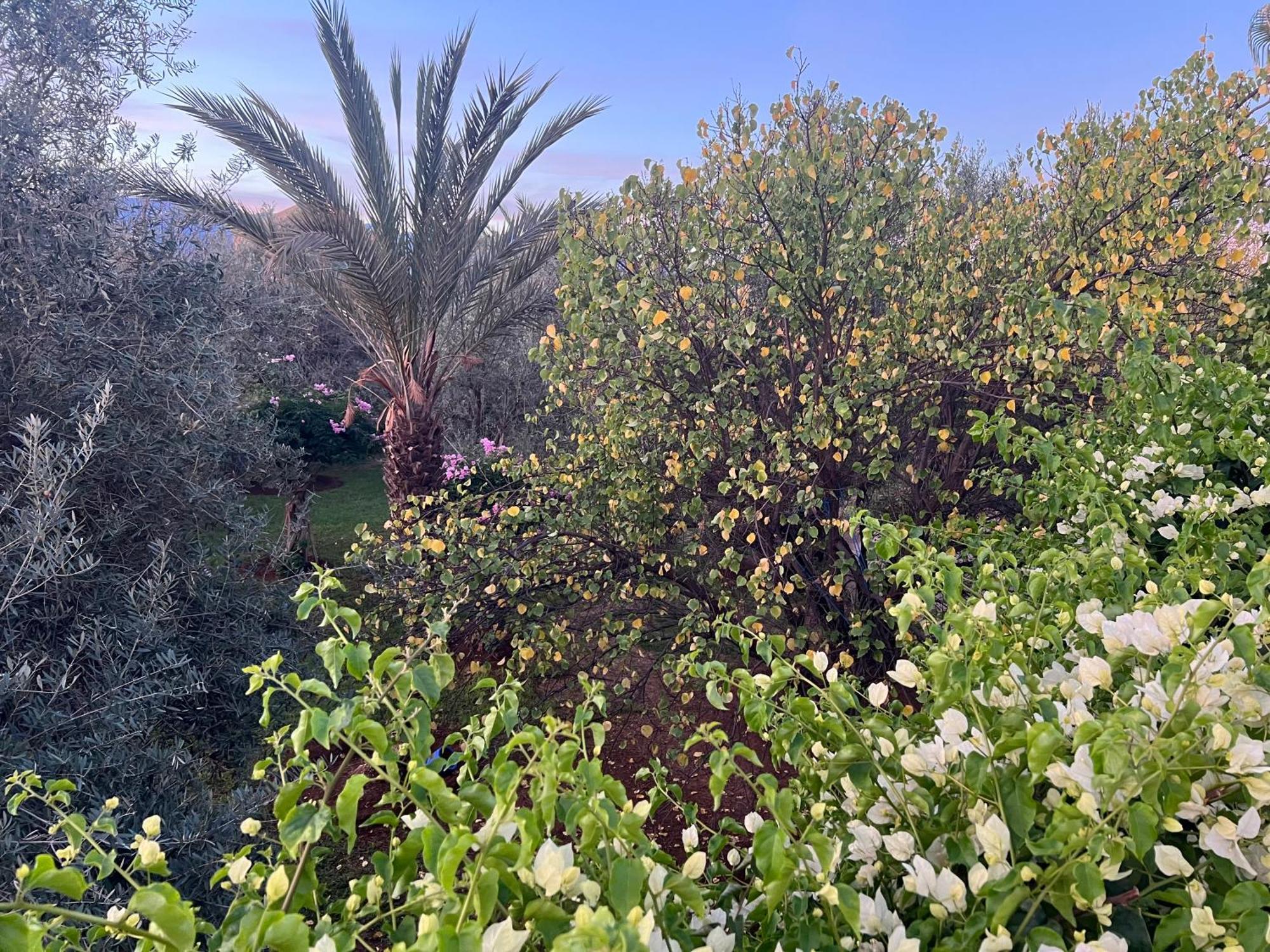Bed and Breakfast Le Domaine De Carole Marrakech Douar Akkara Экстерьер фото